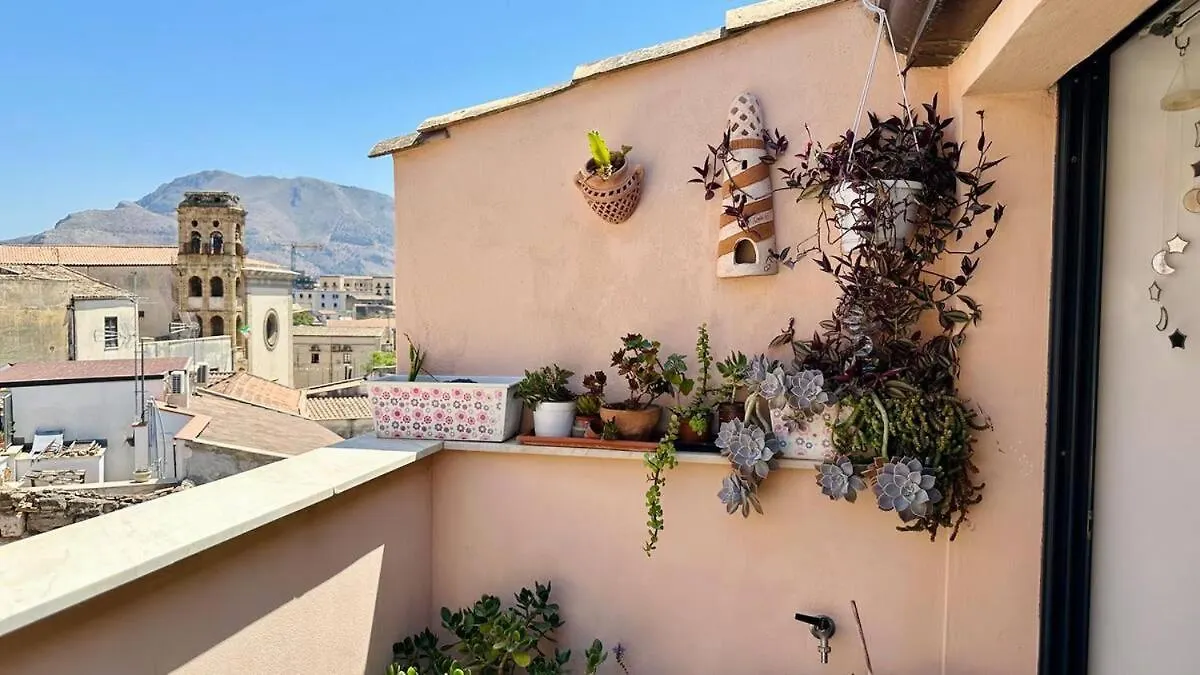 巴勒莫La Petite Terrasse公寓